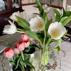 Meet your Posher, Annamaria